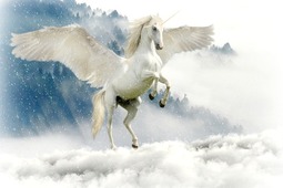 Pegasus